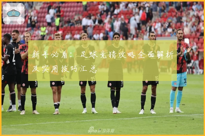 新手必看：足球竞猜攻略全面解析及实用技巧汇总