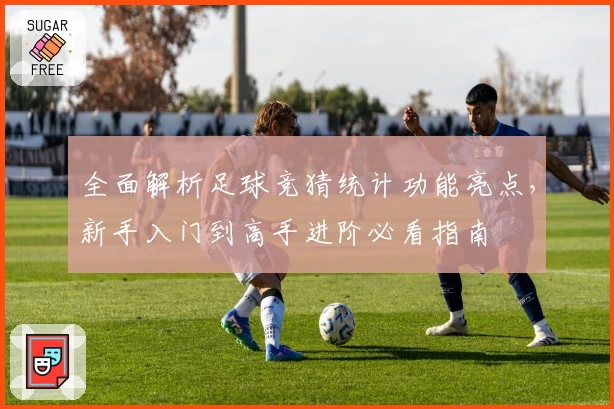 全面解析足球竞猜统计功能亮点，新手入门到高手进阶必看指南
