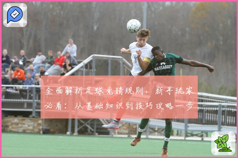 全面解析足球竞猜规则，新手玩家必看：从基础知识到技巧攻略一步到位