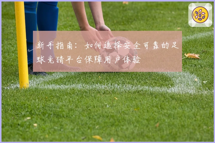 新手指南：如何选择安全可靠的足球竞猜平台保障用户体验